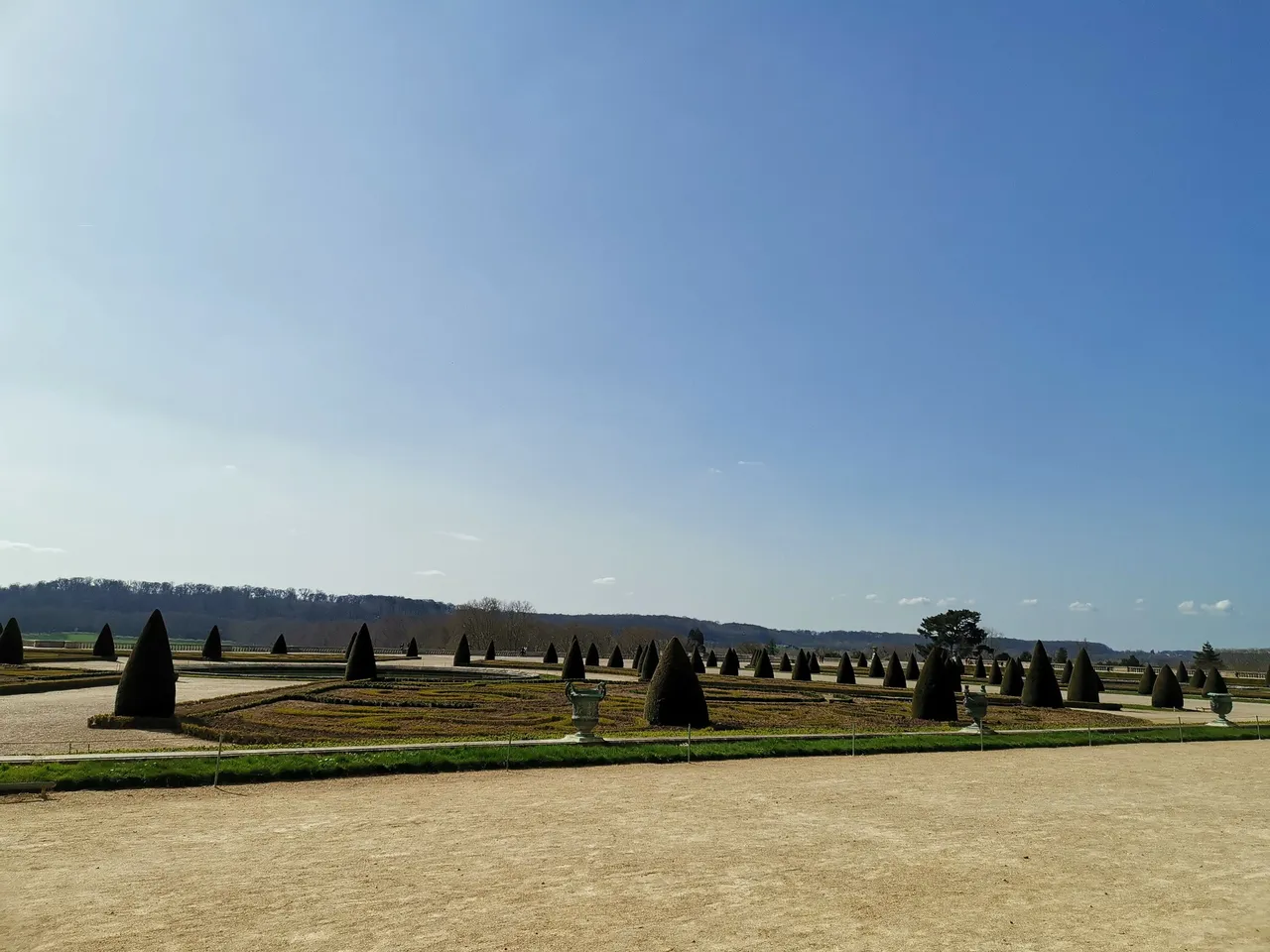 IMG_20220321_130314.jpg