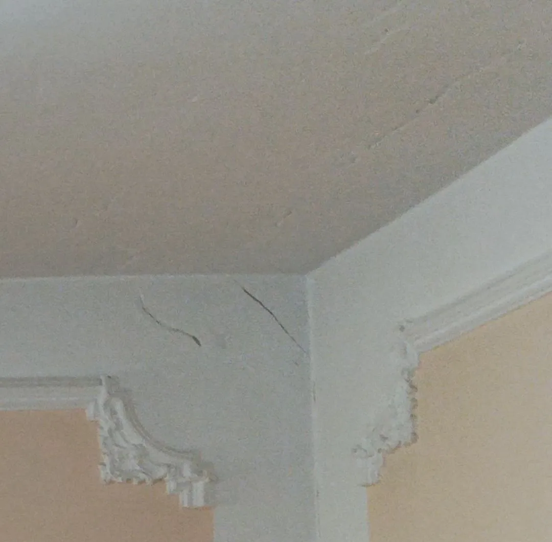 IMG_20220510_160804.jpg