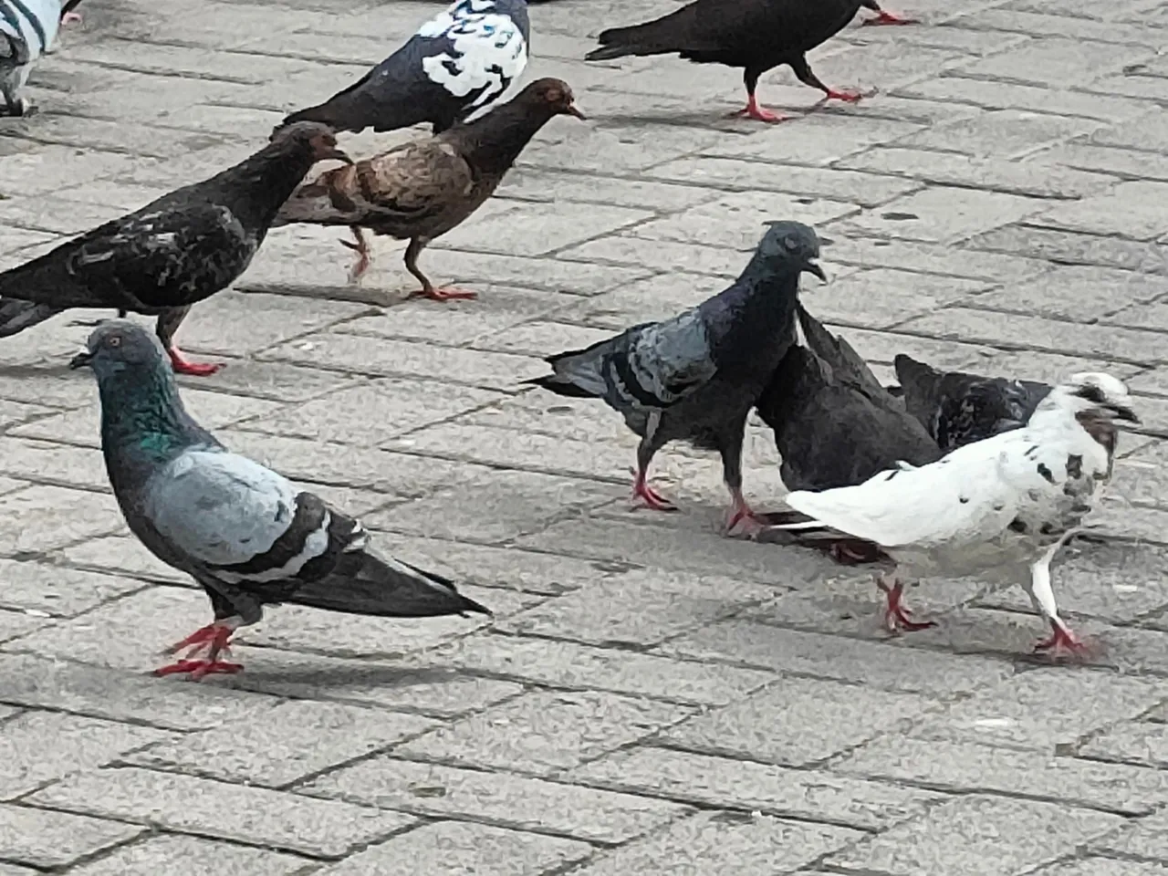 IMG20220405112728.jpg