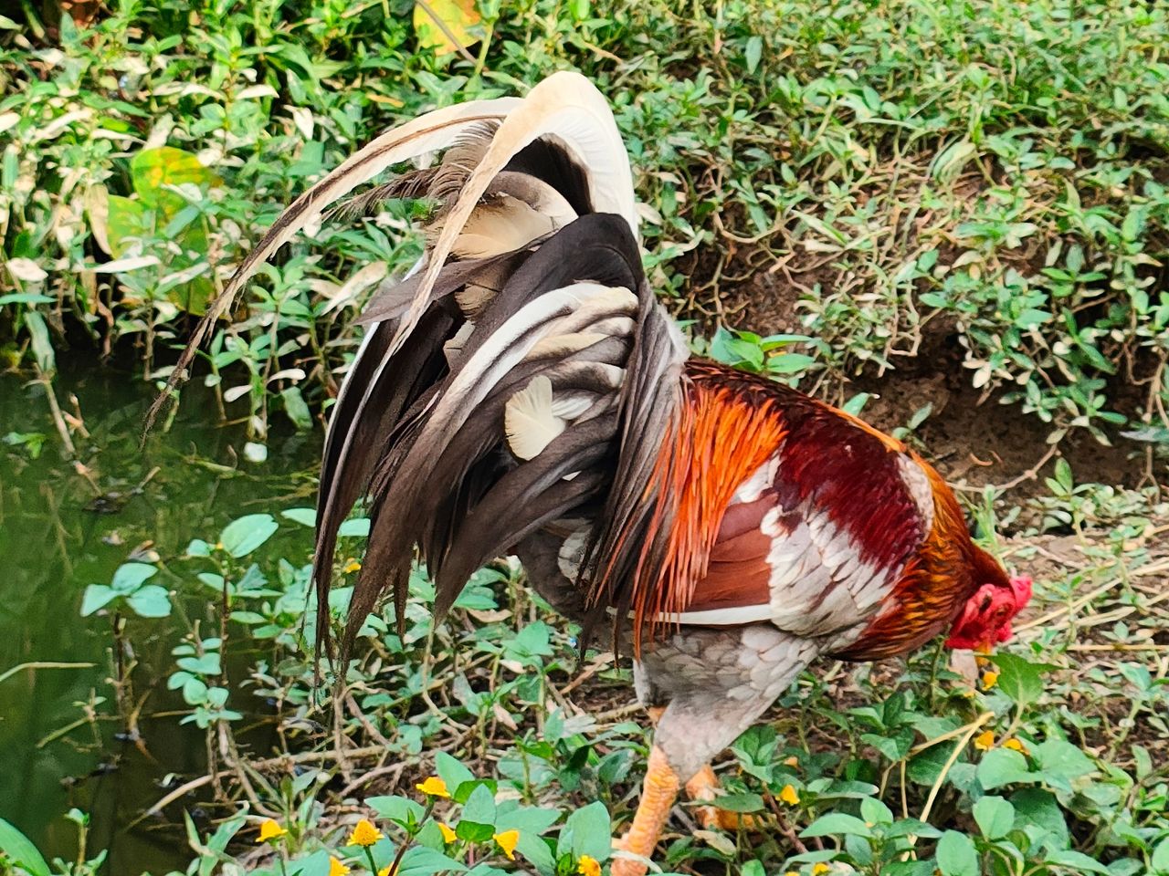 IMG20220111164845.jpg