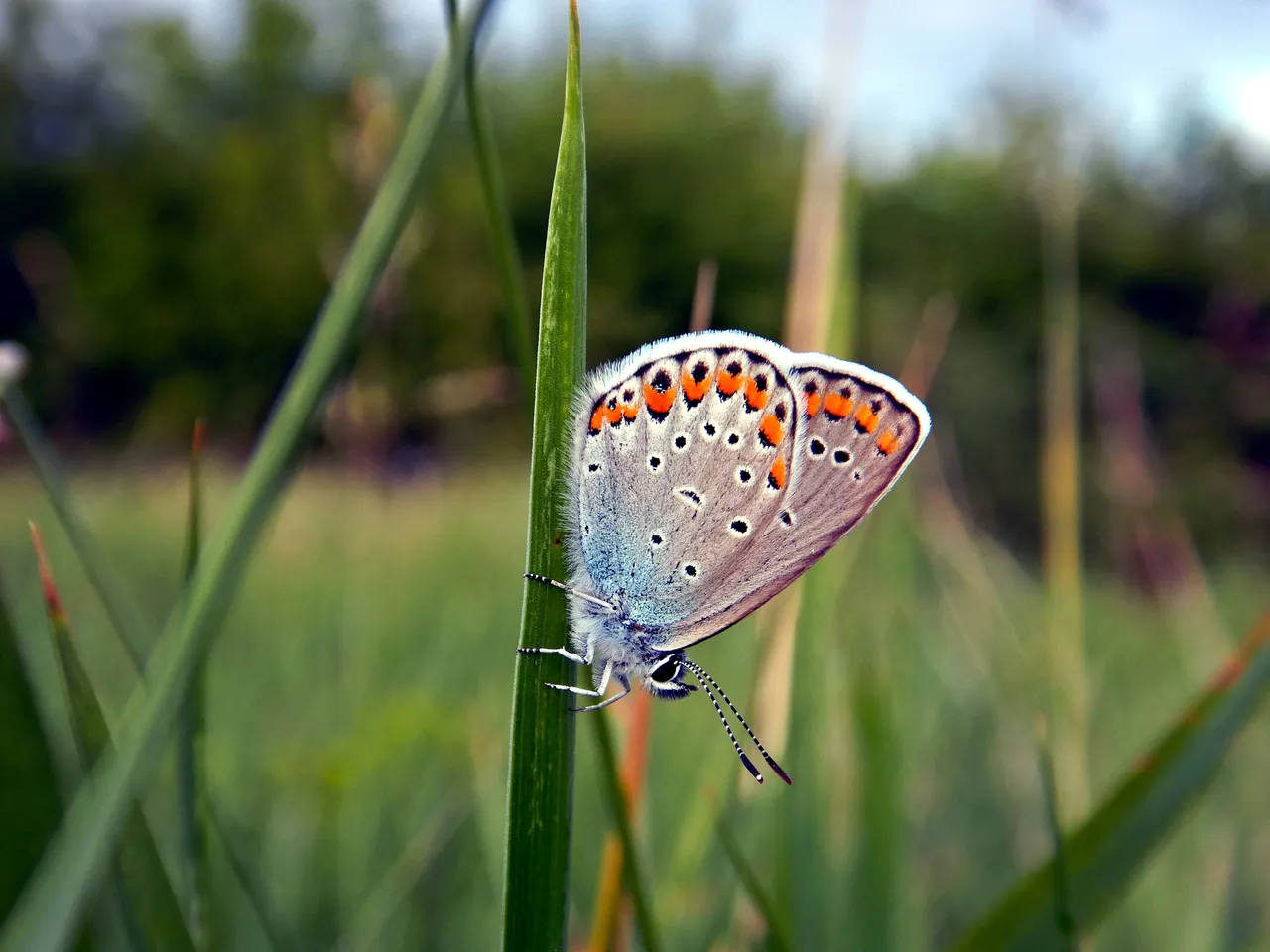 DSCN2102.JPG
