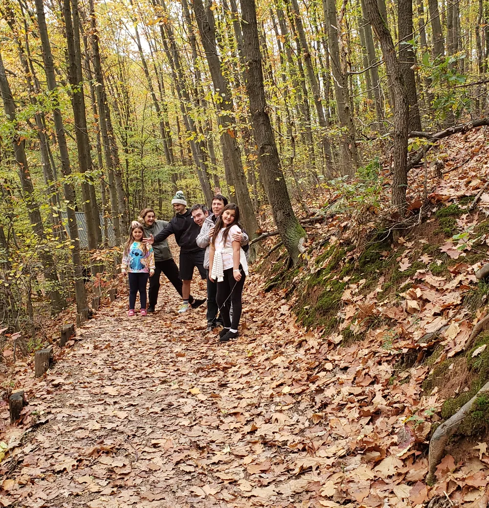 11-14_walking_in_the_forest.png