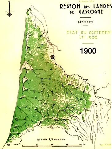 Boisement-landes-1900_def.jpg