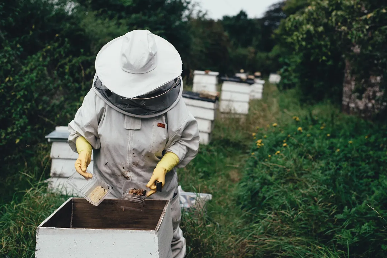 apiary-g3942ae686_1920.jpg