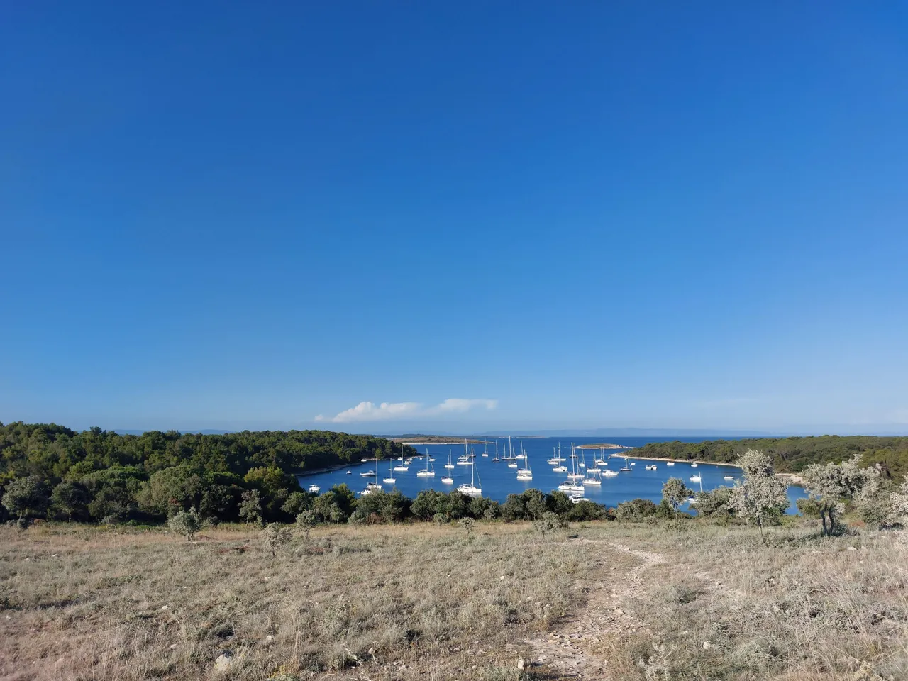 20220625_185534.jpg