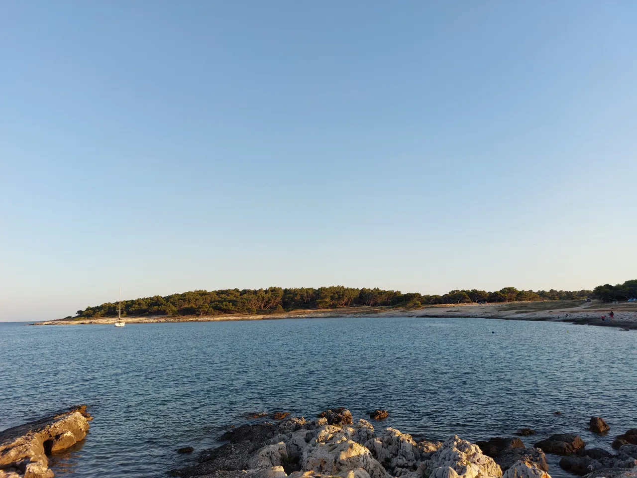 20220625_201035.jpg