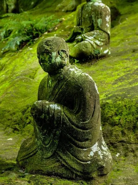images-1.jpg