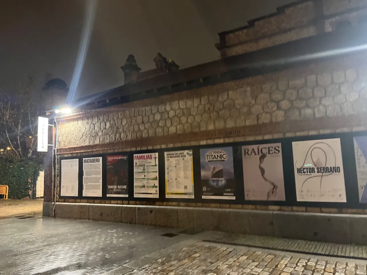 IMG_9515.jpeg