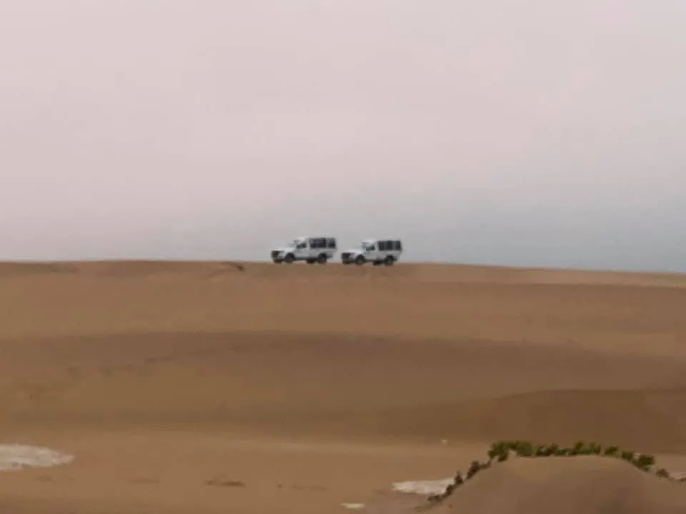 79332146_10157400470445546_3104246595969875968_n.jpg