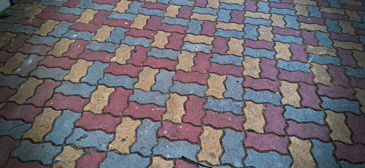 20230903_172235.jpg