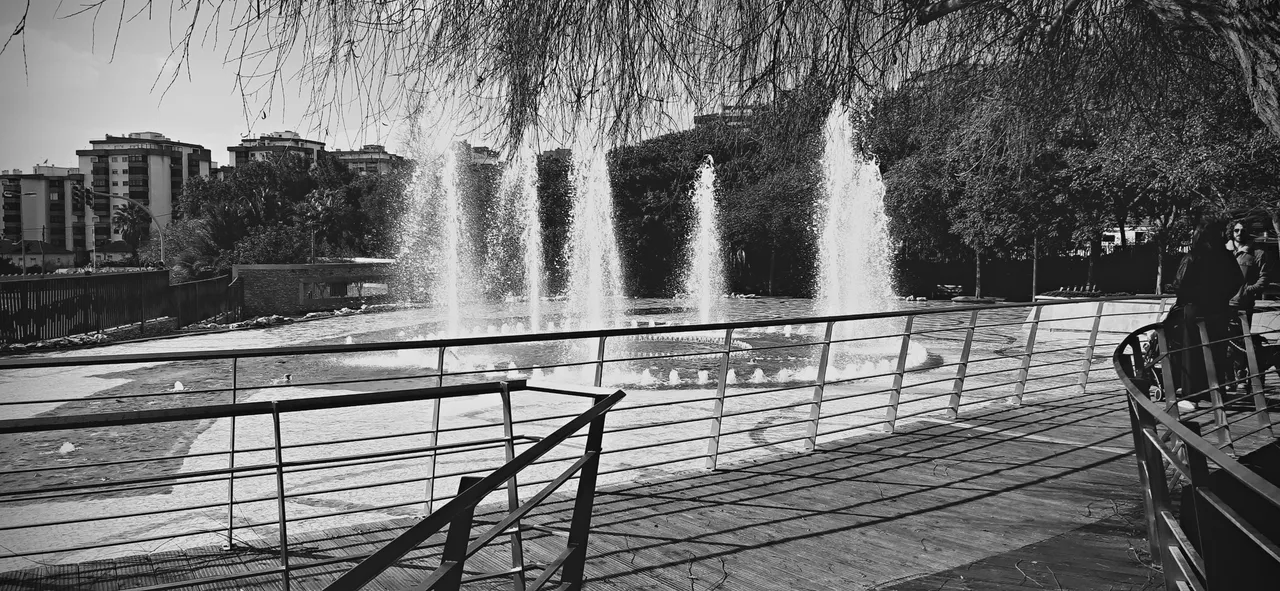 20240120_123343.jpg