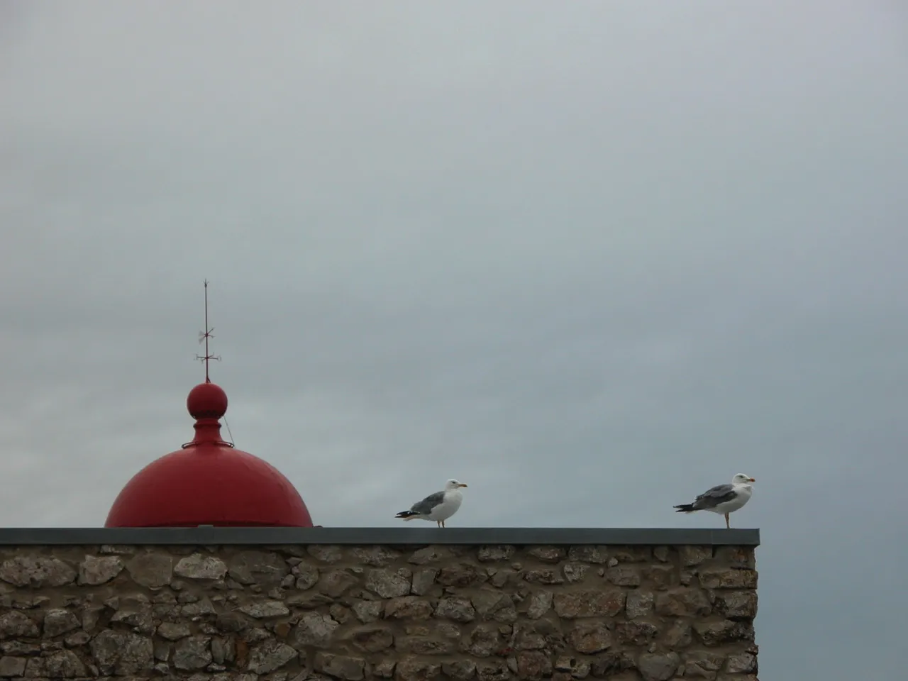 DSCN8079.JPG
