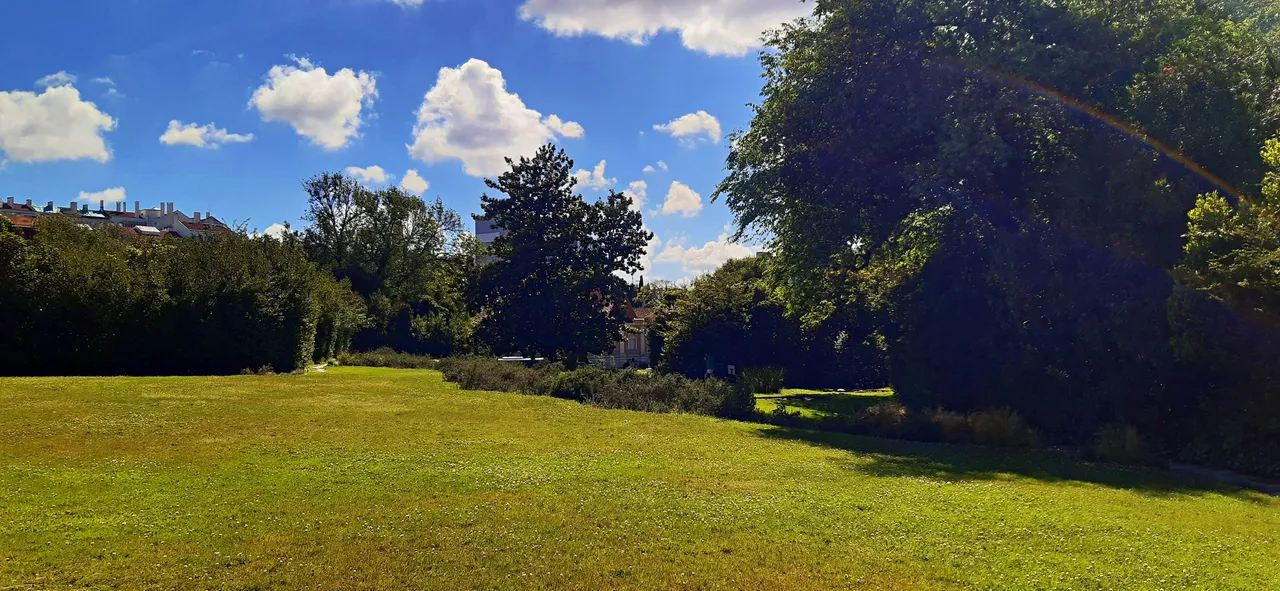 20240519_163237.jpg