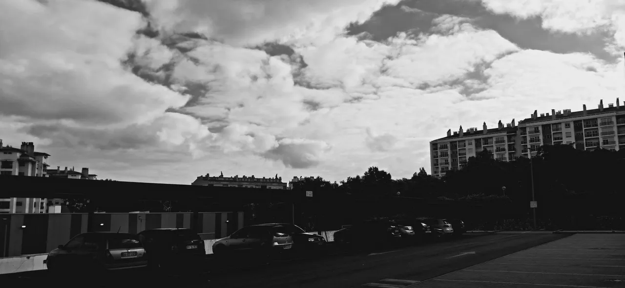 20250710_184435.jpg