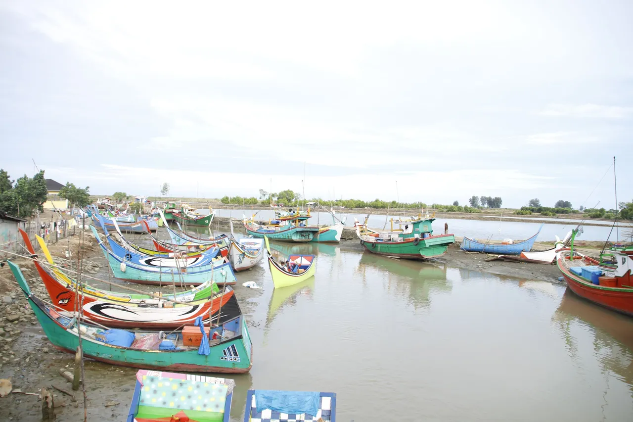 _MG_5077.JPG