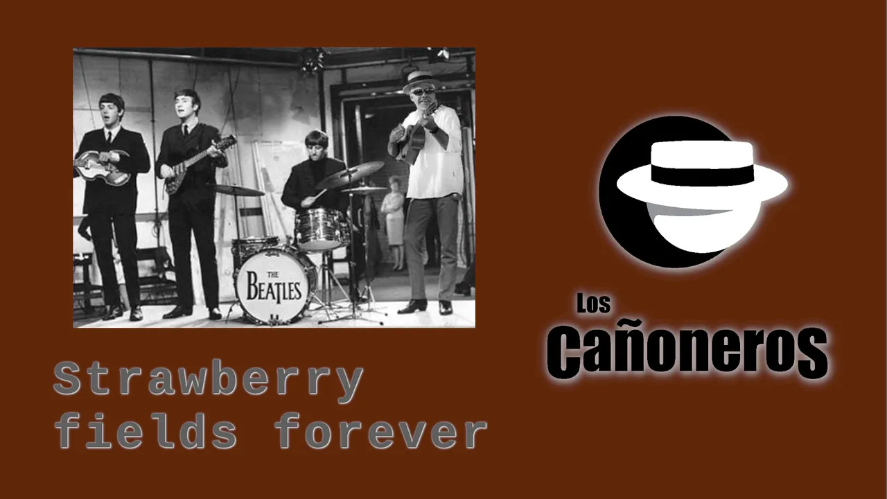 Strawberry-fields-forever.jpg