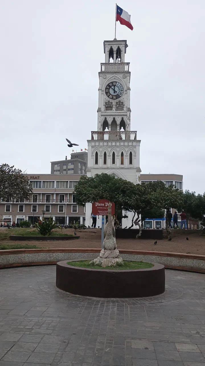IMG_20240505_115454406.jpg