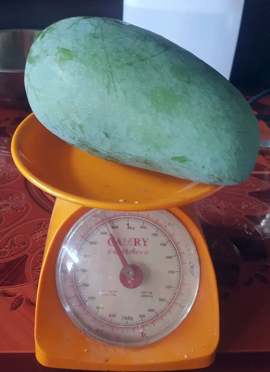 64542473_2414955272123133_8676880157593567232_n 2.jpg