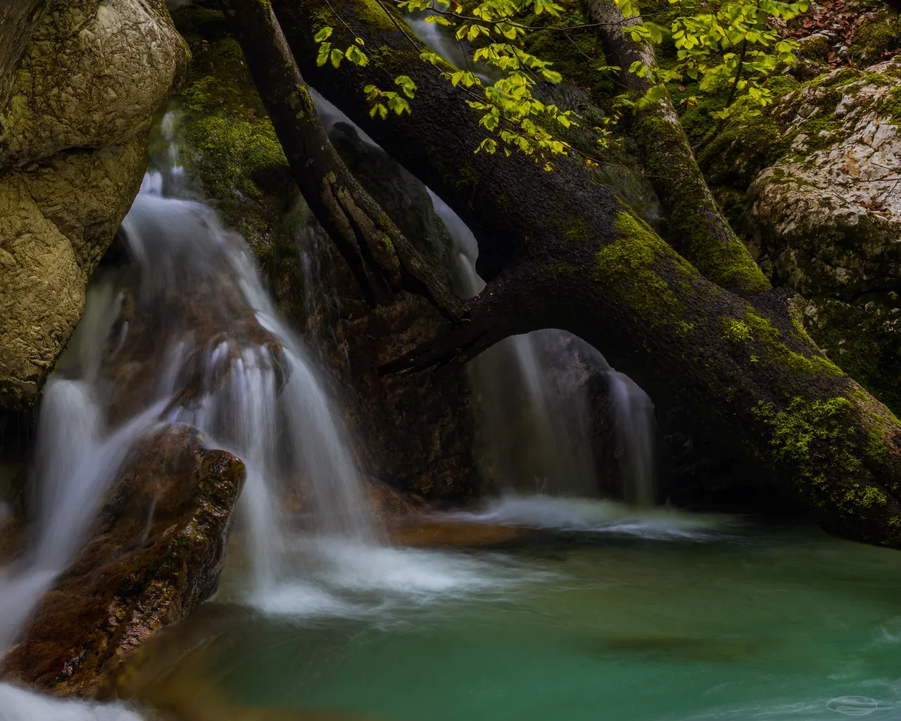Intimate Landscape Photography - Sunikov Vodni Gaj - Sunik Water Grove, Slovenia
