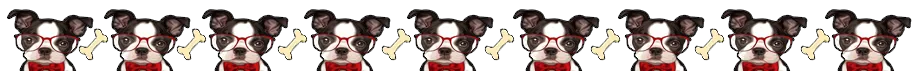 banner_buldong_frances_con_lentes_y_hueso.png