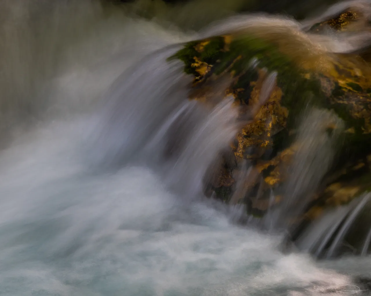 Intimate Landscape Photography - Sunikov Vodni Gaj - Sunik Water Grove, Slovenia