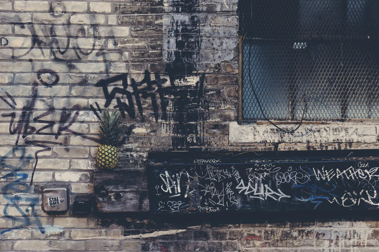 pineapple_supply_co_l9akg3dtozm_unsplash.jpeg