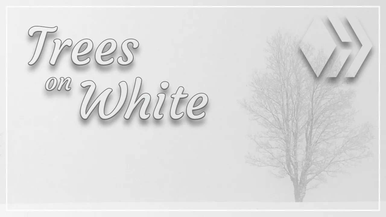 Trees on White