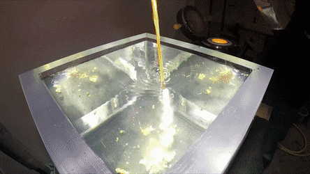 CircularEducatedKissingbug-size_restricted.gif