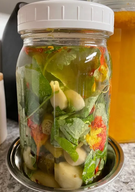 foodiesbeehive-naturtium-fermented-6 (1).jpg