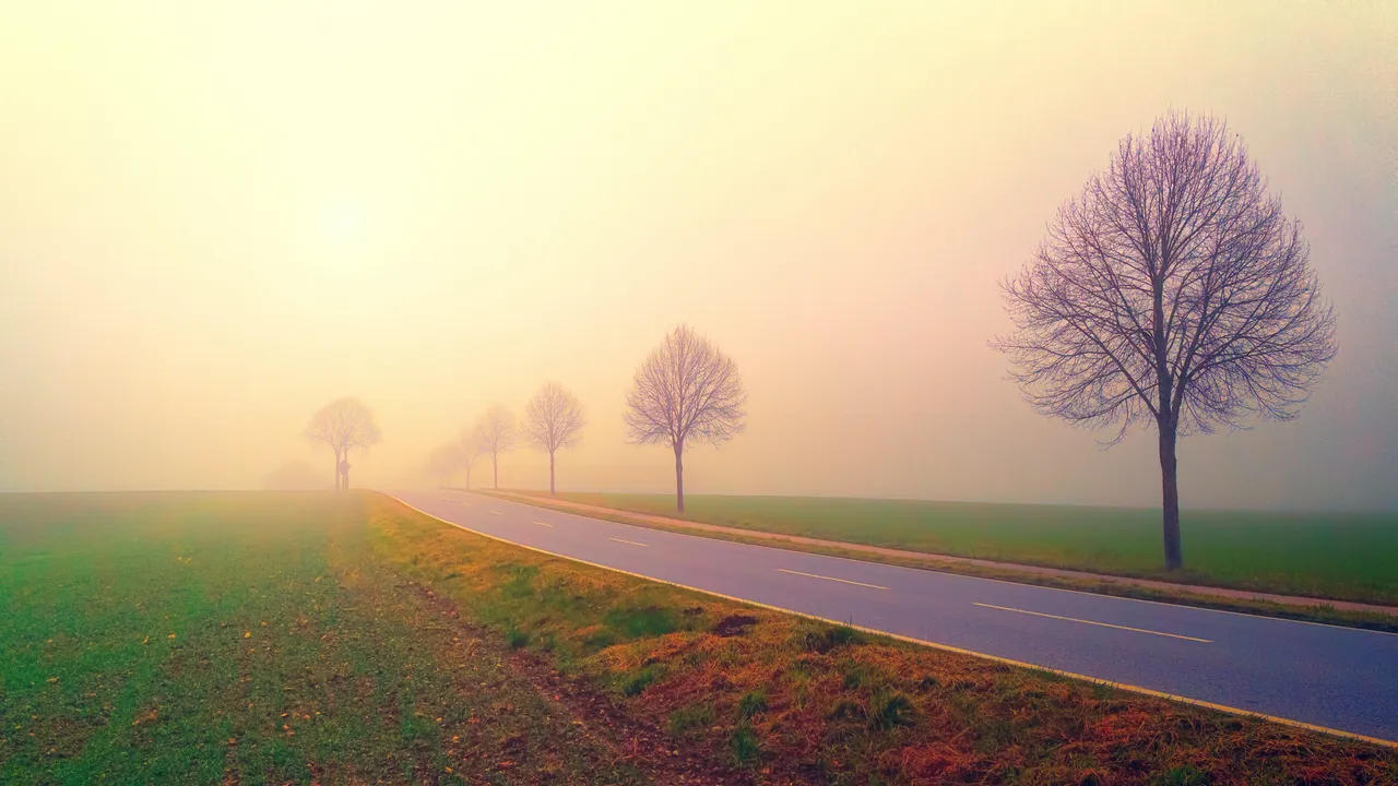 Picture on Pexels by Johannes Plenio