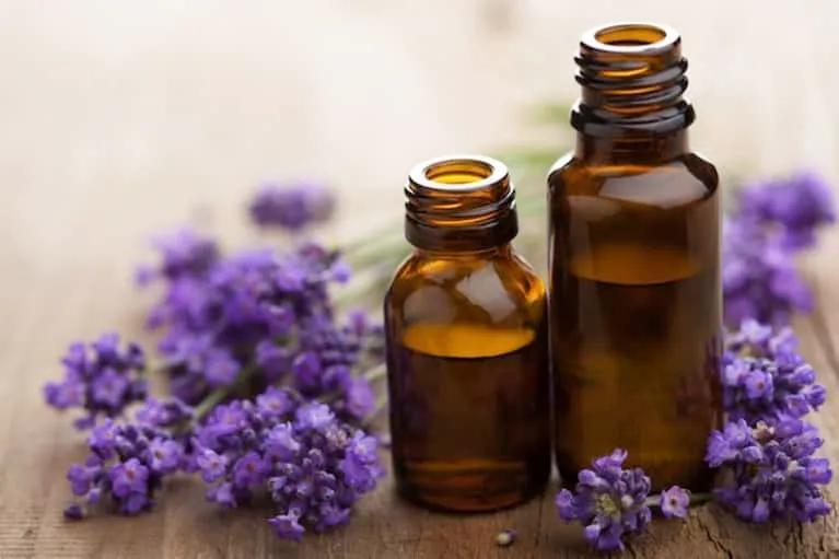 Image of Lavender Oil