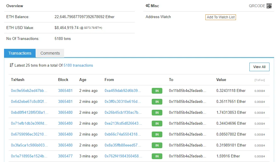Ethereum-FreeWallet-Scam_Bitconnect (1).png
