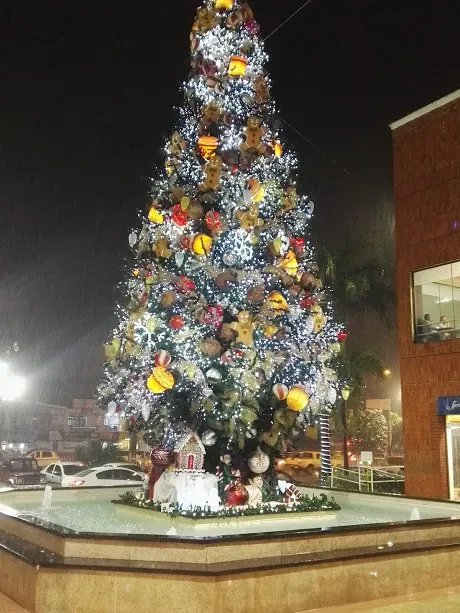 arbol de navidad bajo la lluvia.jpg