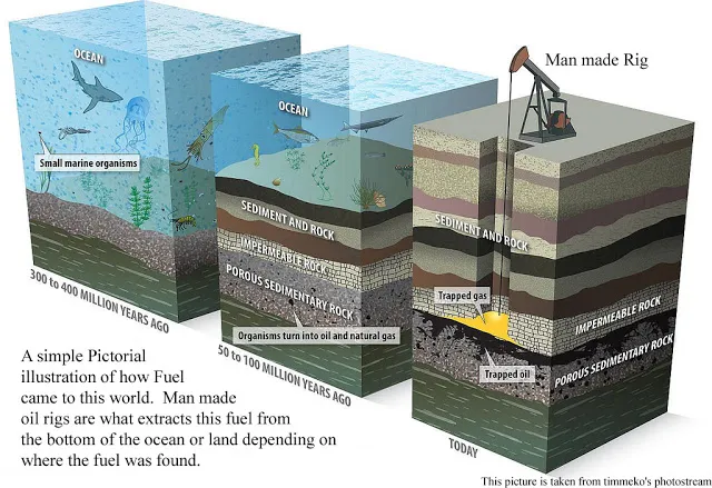 origin-of-oil-and-gas-petroleum-formation.jpg