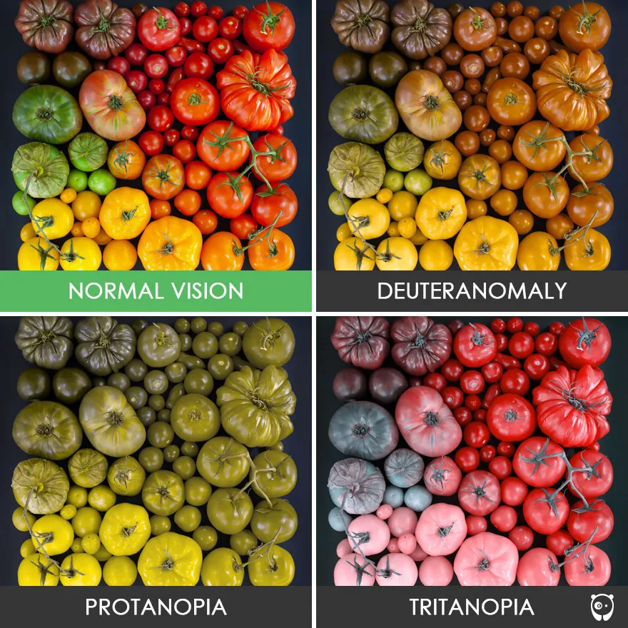 different-types-color-blindness-photos-76.jpg