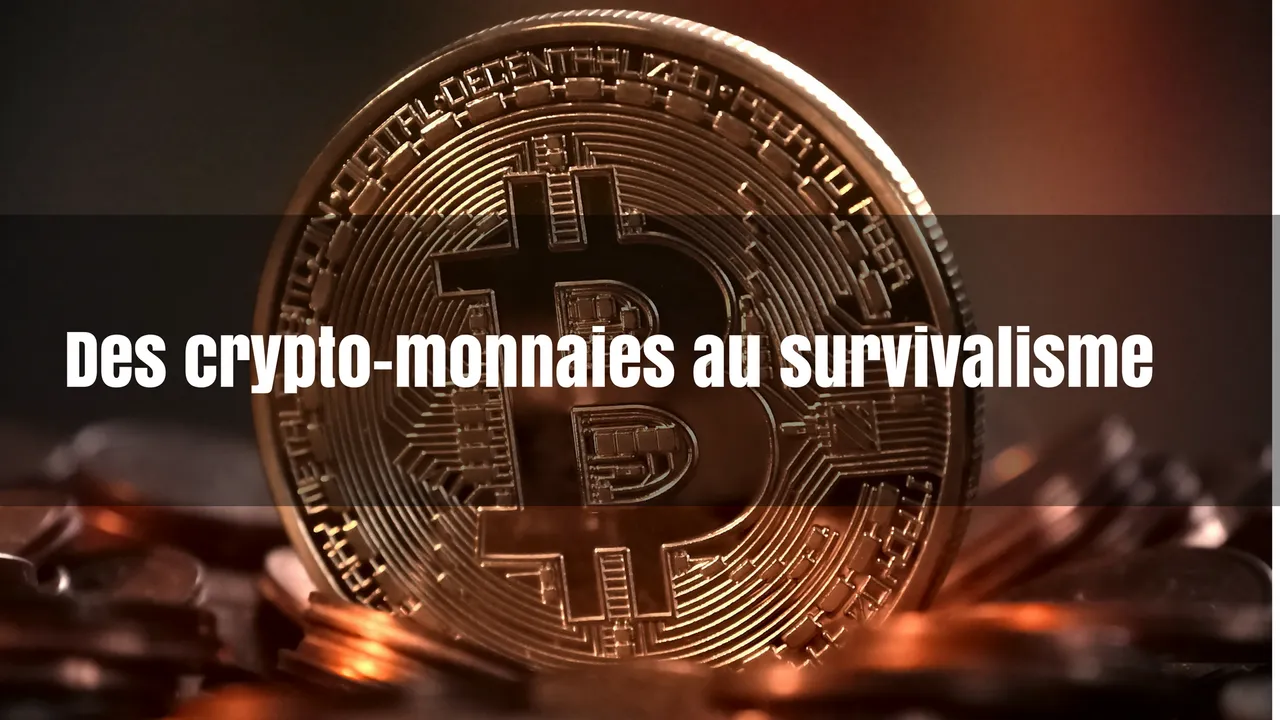 Les crypto-monnaies quel avenir _.png