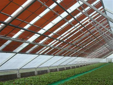 greenhouse_with_transparent_PV copy_New.jpg