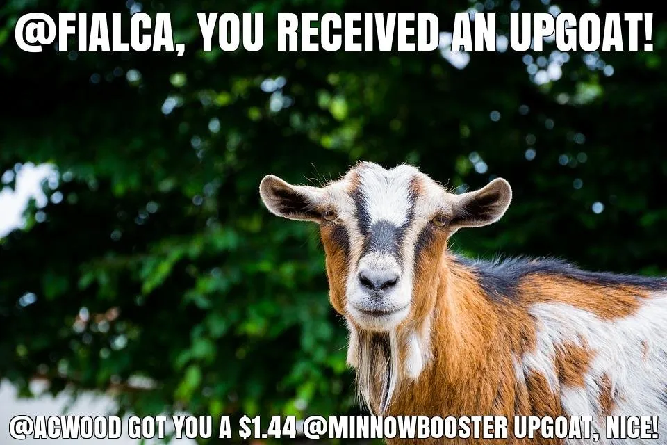 @acwood got you a $1.44 @minnowbooster upgoat, nice!