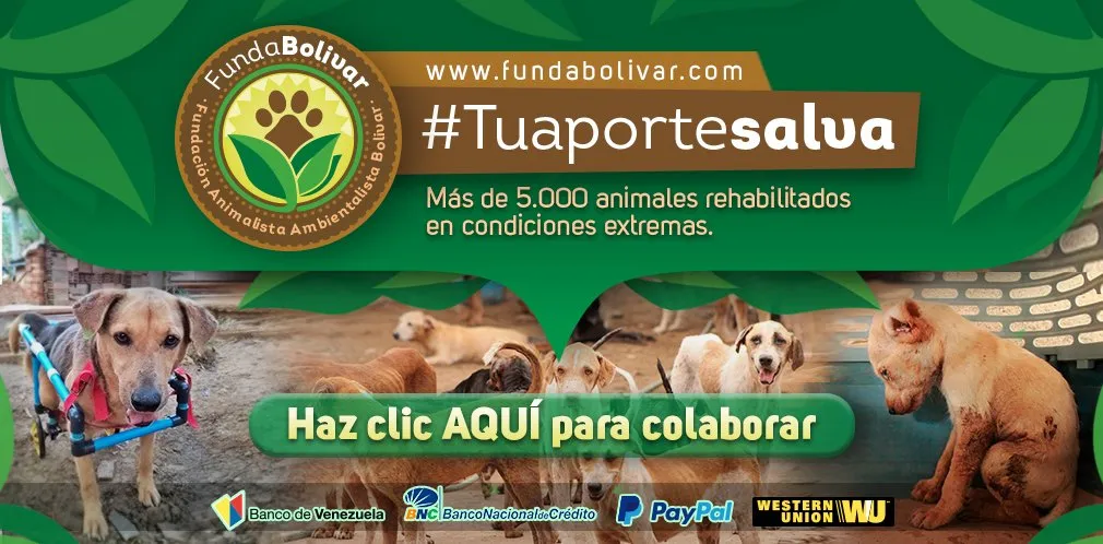 header-pagina-web-1