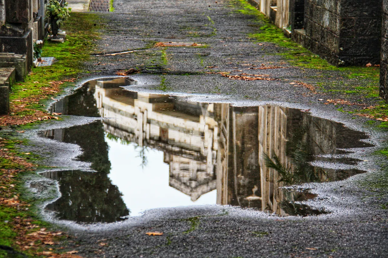 Riflessi nell'acqua...