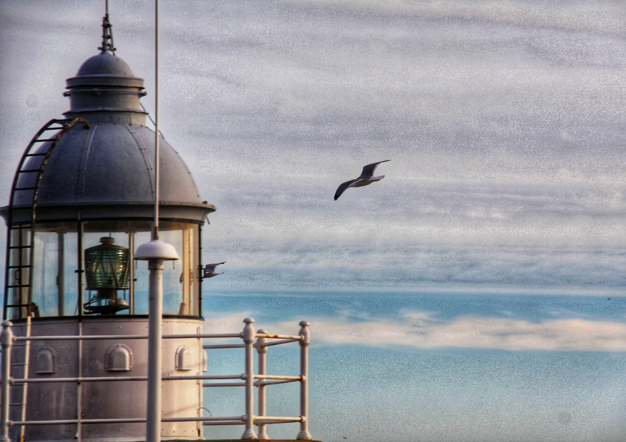 Seagull and lighthouse...