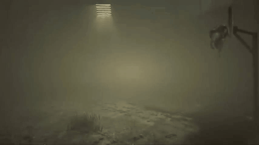 GIF200910_144313.gif