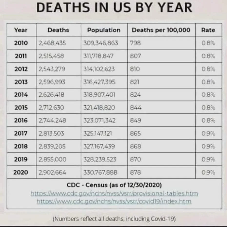 deaths_in_us.jpeg