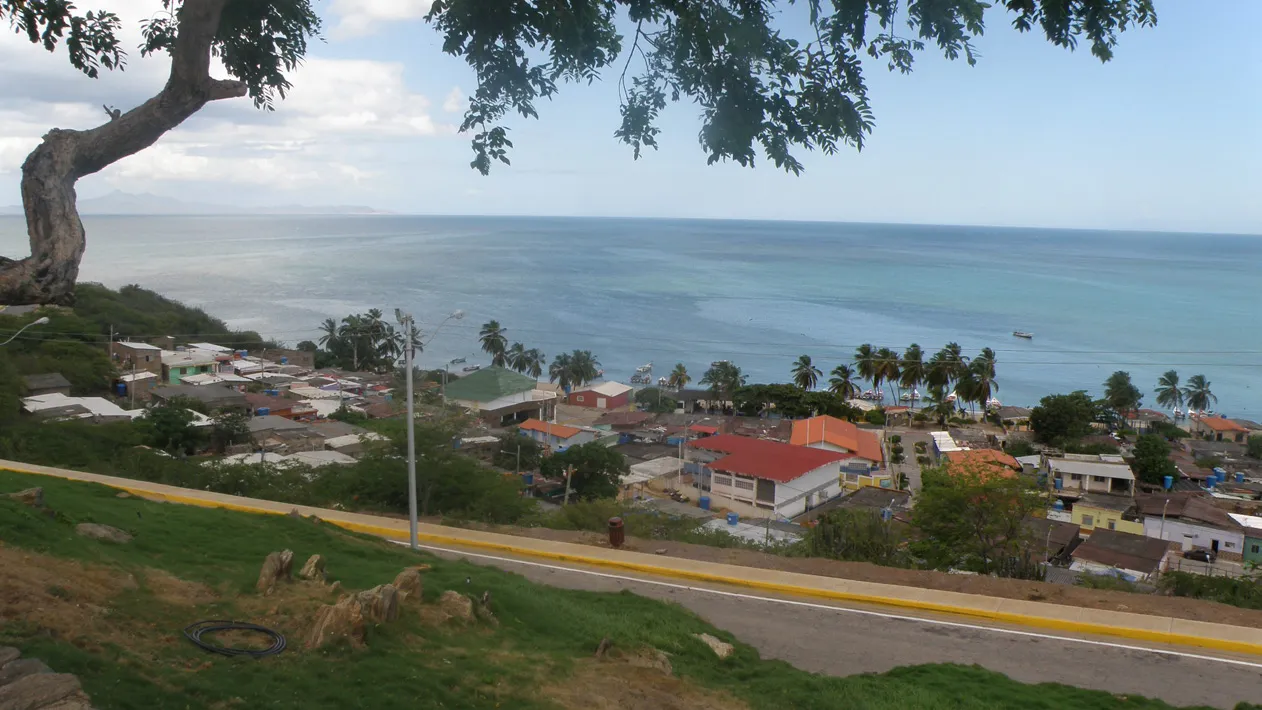 P7316342.jpg