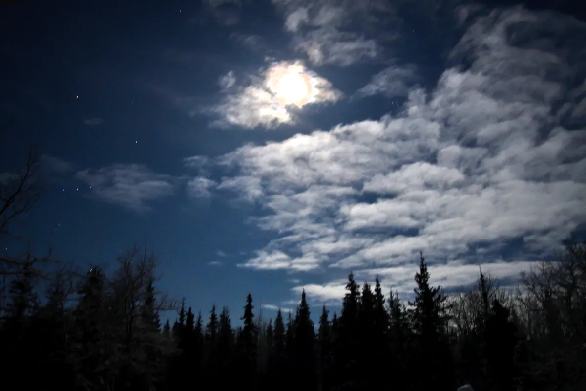 moon and orion