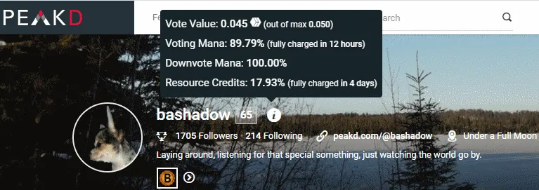 token create 5.png