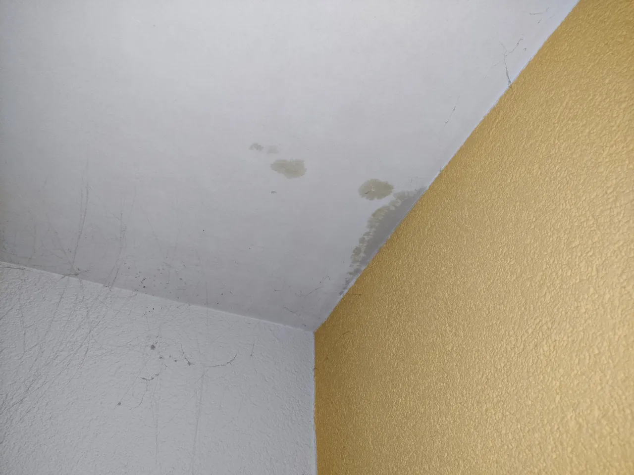 IMG_20210113_172347.jpg