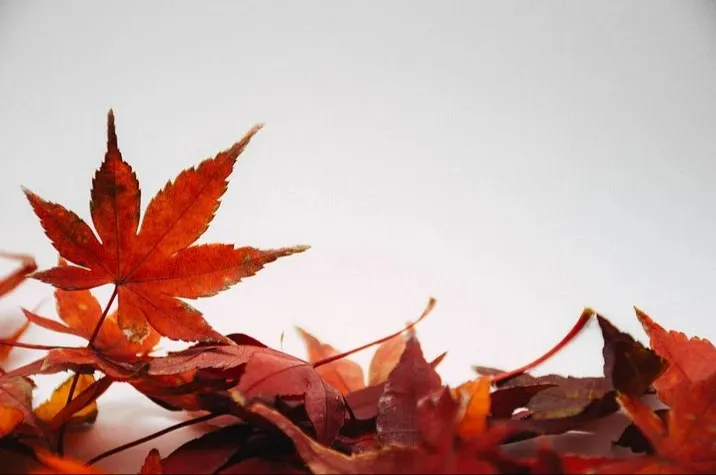 20200911_234249.jpg