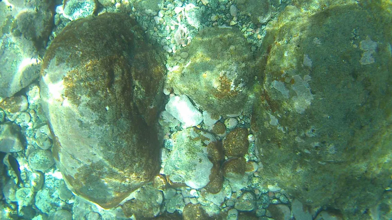20180104_032519A.jpg