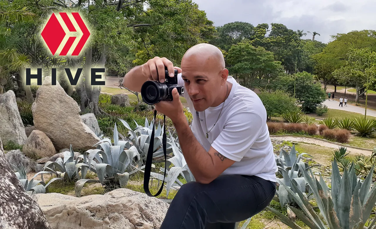 hive para mi.jpg